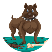 Dangerous Dog Insurance